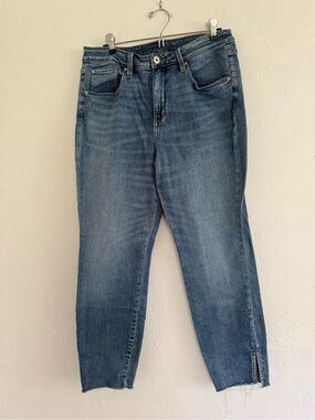 JAG Jeans Viola Skinny Raw Hem Ankle Slit Jeans Size 14